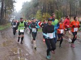 Kasterlee 2014 - 016.jpg